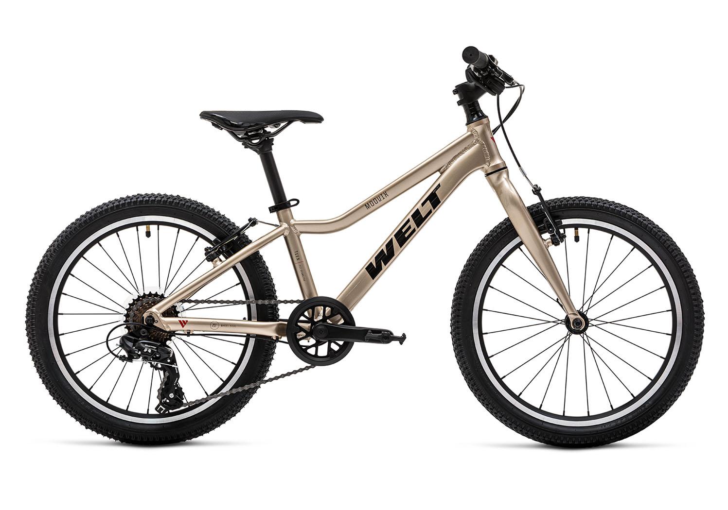 Велосипед Welt Moovix 2.0 VB 20, золотой
